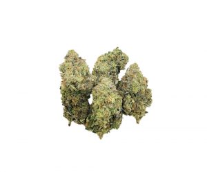 Cannabis-G13